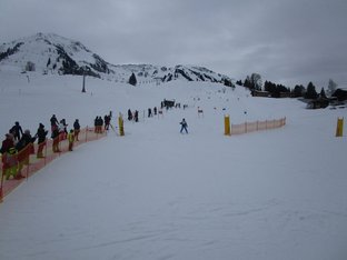 IMG_2421