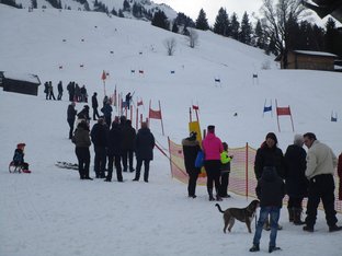 IMG_2428